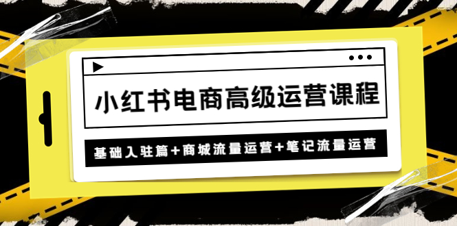 （4638期）小红书电商高级运营课程：基础入驻篇+商城流量运营+笔记流量运营-iTZL项目网