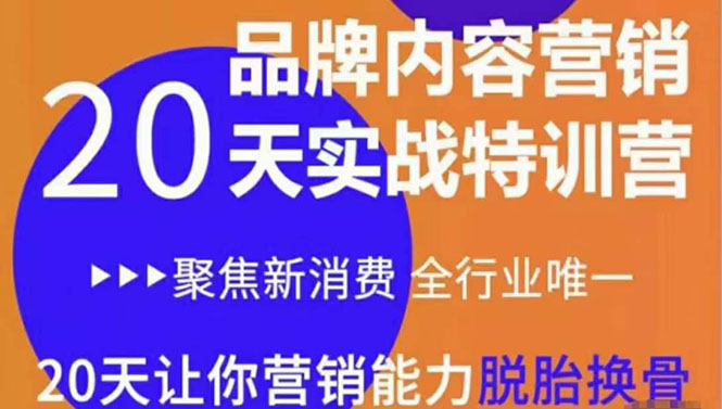 （3461期）《内容营销实操特训营》20天让你营销能力脱胎换骨（价值3999）-iTZL项目网