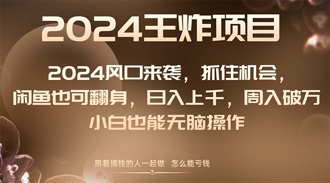 （8401期）2024风口项目来袭，抓住机会，闲鱼也可翻身，日入上千，周入破万，小白…-iTZL项目网