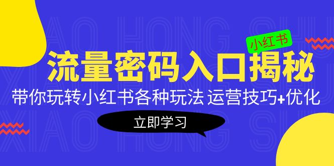 （5179期）小红书流量密码入口揭秘：带你玩转小红书各种玩法 运营技巧+优化！-iTZL项目网