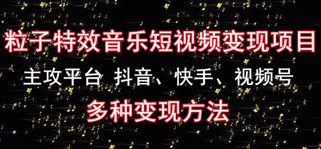 黄岛主《粒子特效音乐短视频变现项目》主攻平台抖音、快手、视频号多种变现方法-iTZL项目网