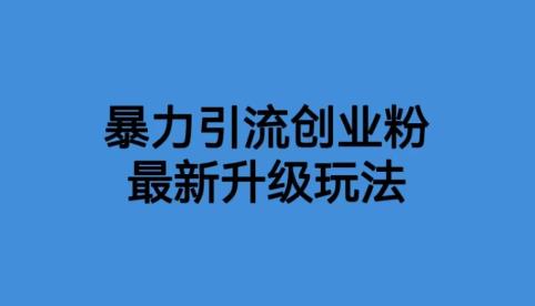 价值1980一千个野路子暴力引流最新升级玩法【揭秘】-iTZL项目网