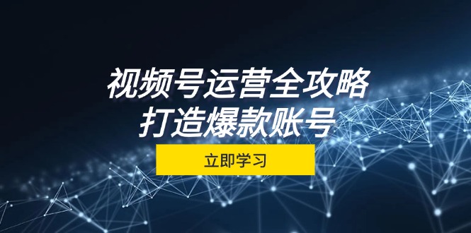 （12912期）视频号运营全攻略，从定位到成交一站式学习，视频号核心秘诀，打造爆款…-iTZL项目网