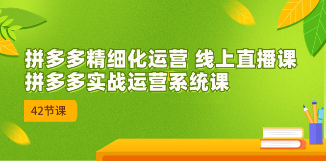 （7151期）2023年8月新课-拼多多精细化运营 线上直播课：拼多多实战运营系统课-42节-iTZL项目网