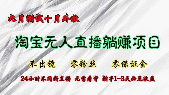 （12862期）淘宝无人直播最新玩法，九月测试十月外放，不出镜零粉丝零保证金，24小…-iTZL项目网