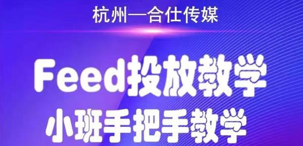 （1749期）合仕传媒Feed投放教学，手把手教学，开车烧钱必须自己会！-iTZL项目网