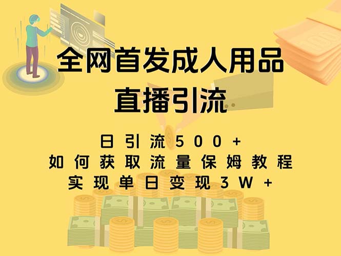 （8193期）最新全网独创首发，成人用品直播引流获客暴力玩法，单日变现3w保姆级教程-iTZL项目网