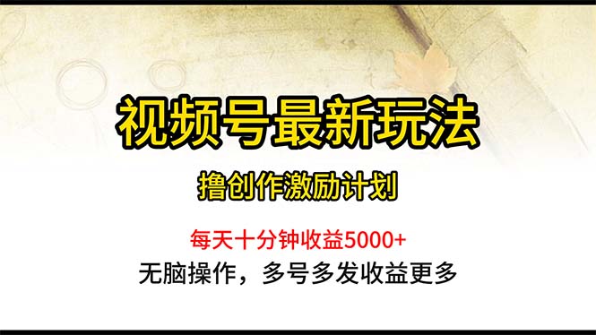 （10591期）视频号最新玩法，每日一小时月入5000+-iTZL项目网