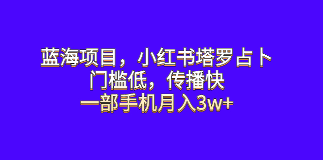 （6427期）蓝海项目，小红书塔罗占卜，门槛低，传播快，一部手机月入3w+-iTZL项目网