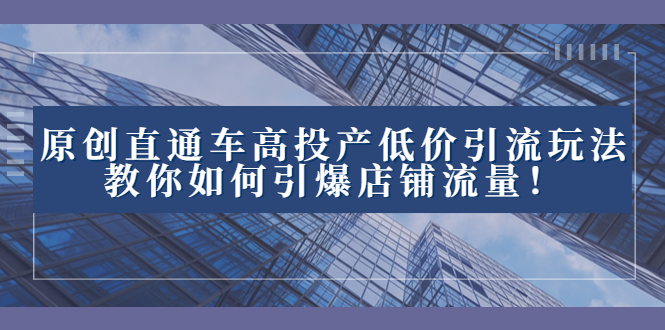 （8197期）2023直通车高投产低价引流玩法，教你如何引爆店铺流量！-iTZL项目网