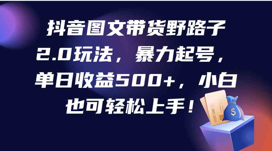 （9790期）抖音图文带货野路子2.0玩法，暴力起号，单日收益500+，小白也可轻松上手！-iTZL项目网