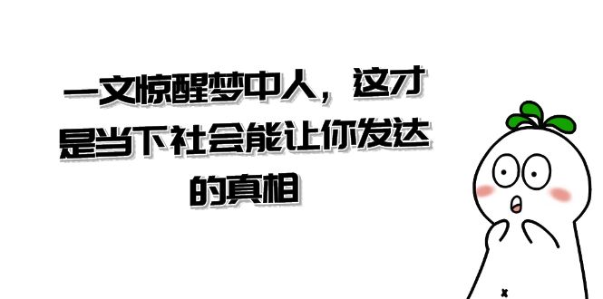 （8480期）某公众号付费文章《一文 惊醒梦中人，这才是当下社会能让你发达的真相》-iTZL项目网