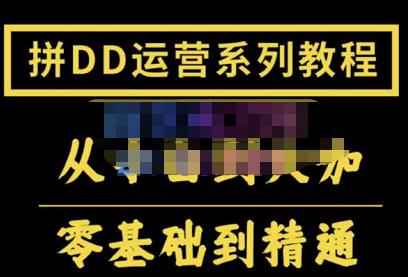 2022全套拼多多核心实操课程，从0-1轻松起链接实战，低投入高产出运作店铺-iTZL项目网