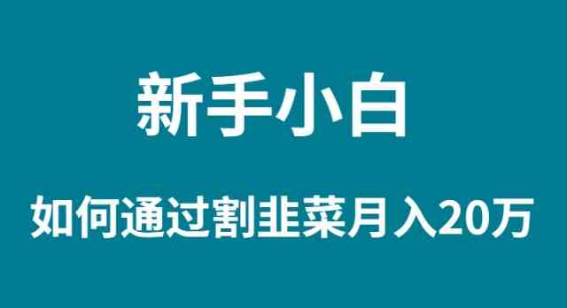 （9308期）新手小白如何通过割韭菜月入 20W-iTZL项目网