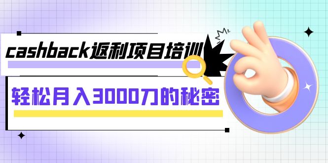 （7765期）cashback返利项目培训：轻松月入3000刀的秘密（8节课）-iTZL项目网