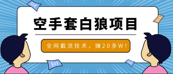 2020最新空手套白狼项目，全网批量截流技术，一个月实战成功赚20多W+-iTZL项目网