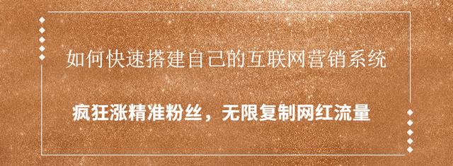 如何快速搭建自己的互联网营销系统，疯狂涨精准粉丝，无限复制网红流量-iTZL项目网