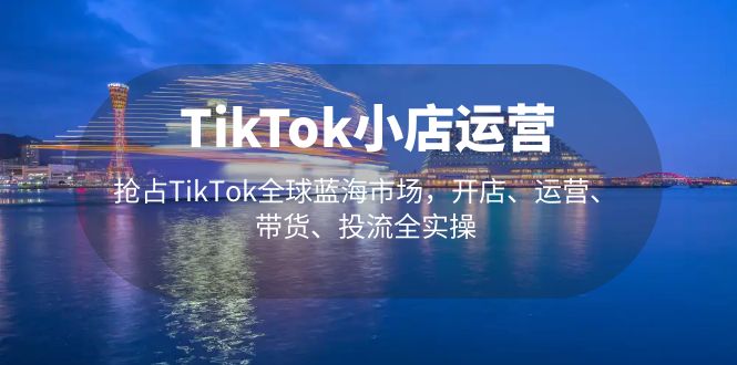 （5200期）TikTok小店运营 抢占TikTok全球蓝海市场，开店、运营、带货、投流全实操-iTZL项目网