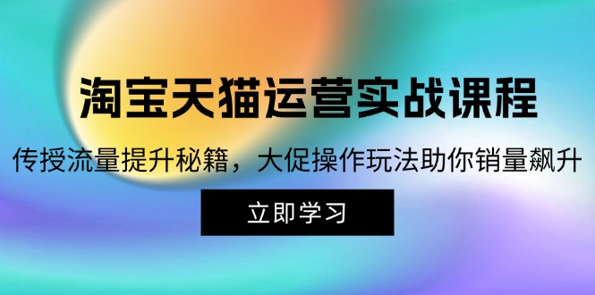 （12959期）淘宝&天猫运营实战课程，传授流量提升秘籍，大促操作玩法助你销量飙升-iTZL项目网