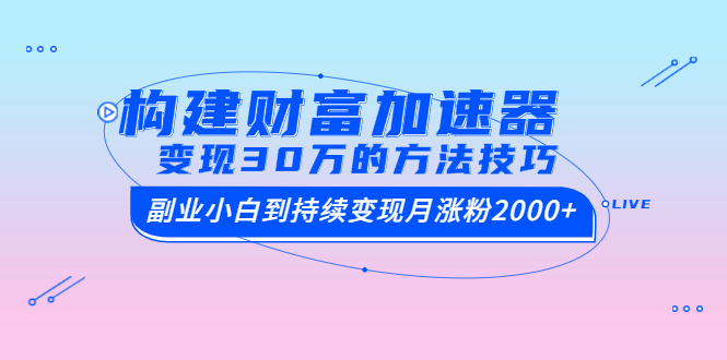 （1461期）构建财富加速器，副业小白到持续变现月涨粉2000+，变现30万的方法技巧-iTZL项目网