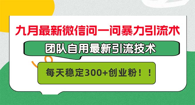 （12735期）九月最新微信问一问暴力引流术，团队自用引流术，每天稳定300+创…-iTZL项目网