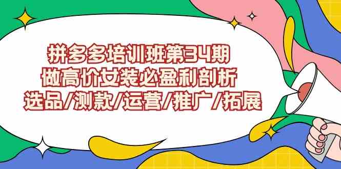 （9333期）拼多多培训班第34期：做高价女装必盈利剖析  选品/测款/运营/推广/拓展-iTZL项目网