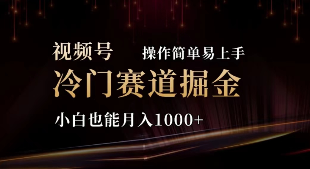 （11378期）2024视频号冷门赛道掘金，操作简单轻松上手，小白也能月入1000+-iTZL项目网