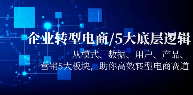 （5939期）企业转型电商/5大底层逻辑，从模式 数据 用户 产品 营销5大板块，高效转型-iTZL项目网