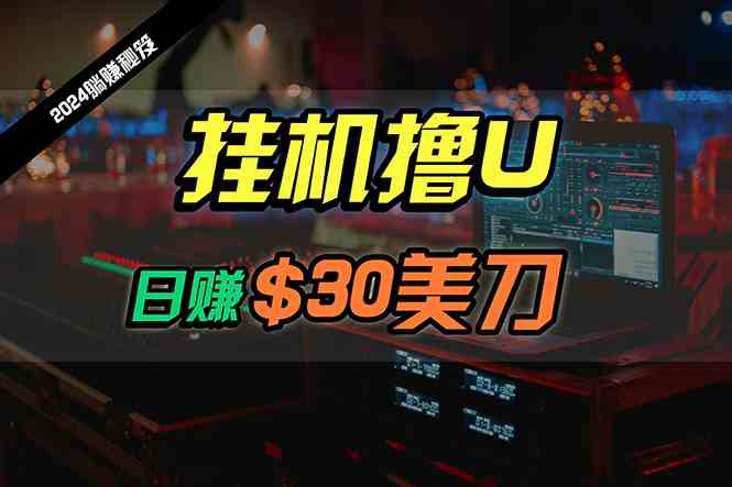 （10013期）日赚30美刀，2024最新海外挂机撸U内部项目，全程无人值守，可批量放大-iTZL项目网