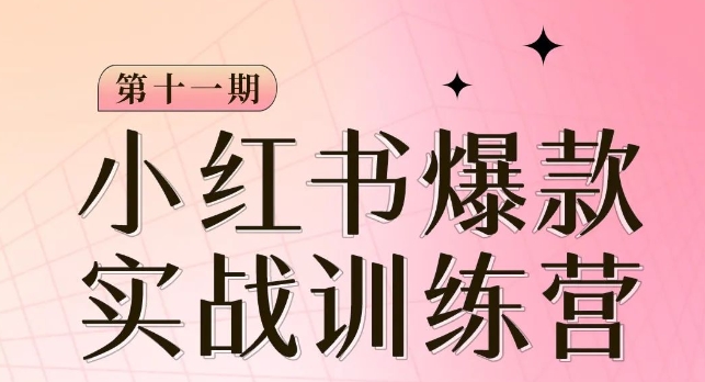 小红书博主爆款训练营第11期，手把手教你从0-1做小红书，从定位到起号到变现-iTZL项目网