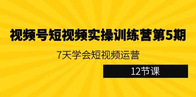 （9029期）视频号短视频实操训练营第5期：7天学会短视频运营（12节课）-iTZL项目网