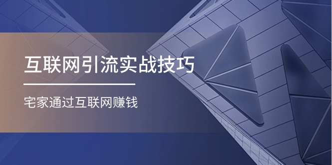 （11108期）互联网引流实操技巧(适合微商，吸引宝妈)，宅家通过互联网赚钱（17节）-iTZL项目网