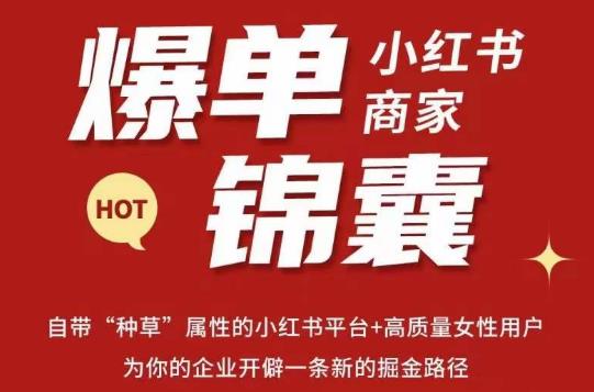 无畏·小红书商家爆单锦囊，掌握小红书各大规则，快速精准抢占行业和市场-iTZL项目网