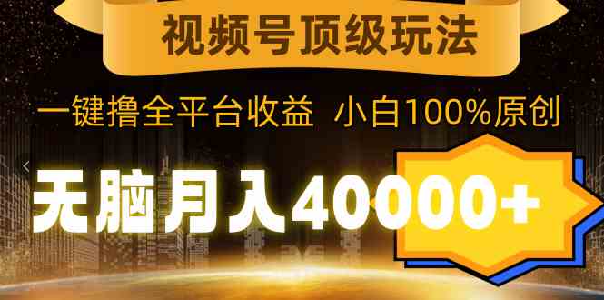 （9281期）视频号顶级玩法，无脑月入40000+，一键撸全平台收益，纯小白也能100%原创-iTZL项目网