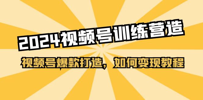 （11135期）2024视频号训练营，视频号爆款打造，如何变现教程（20节课）-iTZL项目网