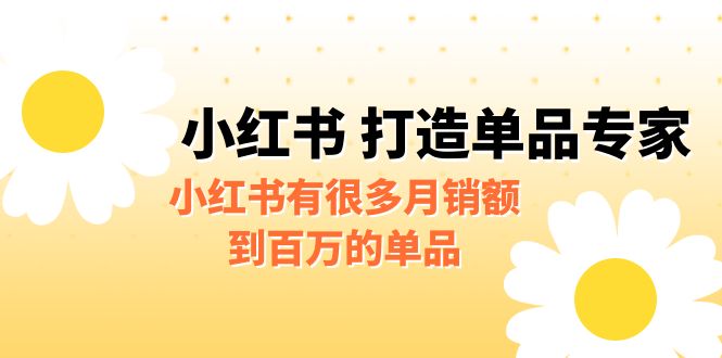 （6541期）某公众号付费文章《小红书 打造单品专家》小红书有很多月销额到百万的单品-iTZL项目网