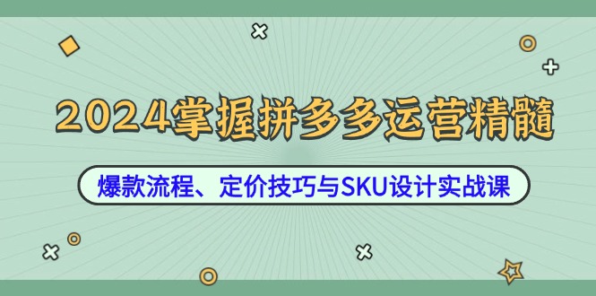 （12703期）2024掌握拼多多运营精髓：爆款流程、定价技巧与SKU设计实战课-iTZL项目网