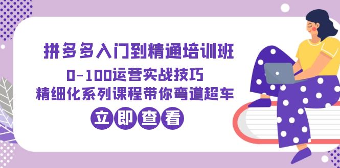 （6243期）2023拼多多入门到精通培训班：0-100运营实战技巧 精细化系列课带你弯道超车-iTZL项目网