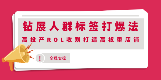 （2018期）钻展人群标签打爆法，高投产ROL收割打造高权重店铺(全程实操)-iTZL项目网