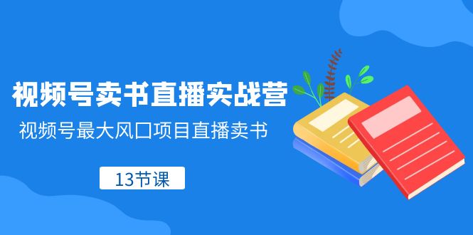 （8080期）视频号-卖书直播实战营，视频号最大风囗项目直播卖书（13节课）-iTZL项目网