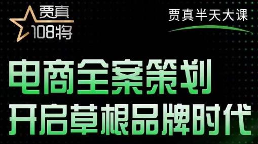 贾真老师的半天大课，电商全案策划，全程打开自己后台店铺讲这个案例-iTZL项目网