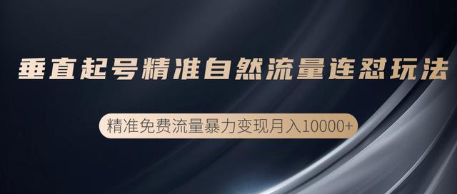 抖音垂直起号精准自然流量连怼玩法，实现精准免费流量变现操作【视频课程】-iTZL项目网