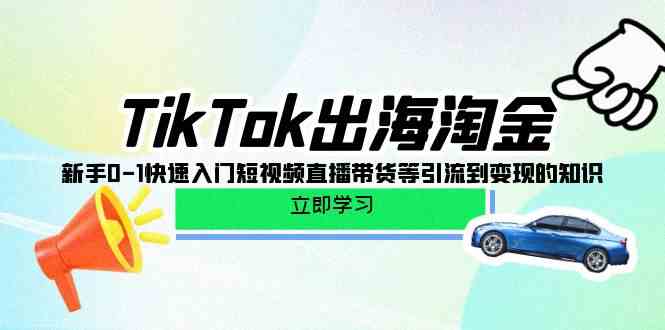 （10035期）TikTok-出海淘金，新手0-1快速入门短视频直播带货等引流到变现的知识-iTZL项目网