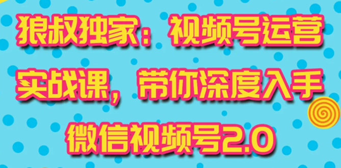 （1521期）视频号运营实战课2.0，目前市面上最新最全玩法，快速吸粉吸金（10节视频）-iTZL项目网