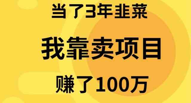 （9100期）当了3年韭菜，我靠卖项目赚了100万-iTZL项目网