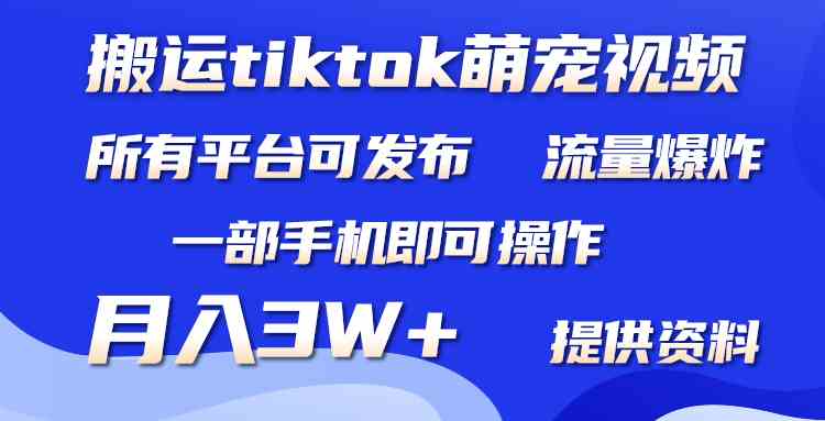 （9618期）搬运Tiktok萌宠类视频，一部手机即可。所有短视频平台均可操作，月入3W+-iTZL项目网