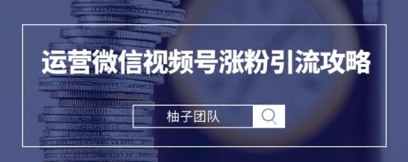 手把手教你运营微信视频号涨粉引流攻略，轻松涨粉10W+【视频课程】-iTZL项目网