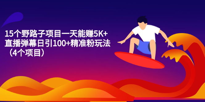 （2213期）15个野路子项目一天能赚5K+直播弹幕日引100+精准粉玩法（4个项目）-iTZL项目网