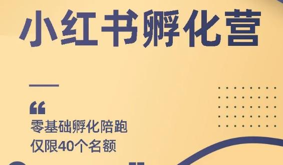 勇哥小红书撸金快速起量项目：教你如何快速起号获得曝光，做到月躺赚在3000+-iTZL项目网