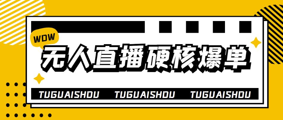 （3980期）大飞无人直播硬核爆单技术，轻松玩转无人直播，暴利躺赚-iTZL项目网